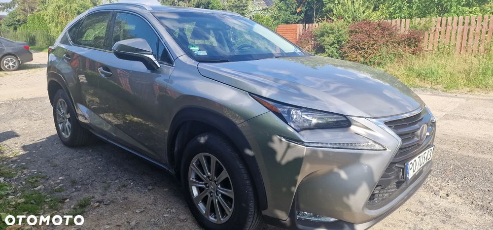 Lexus NX 300h Elite AWD - 20