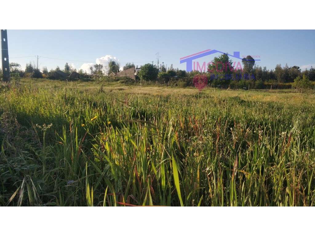 Terreno com ruina para Reconstruir - Grande imagem: 3/3