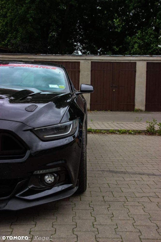 Ford Mustang 5.0 Ti-VCT V8 Black Shadow Edition - 7