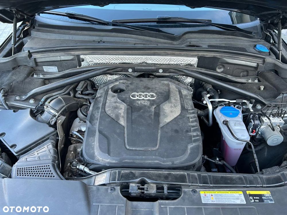 Audi Q5 - 19