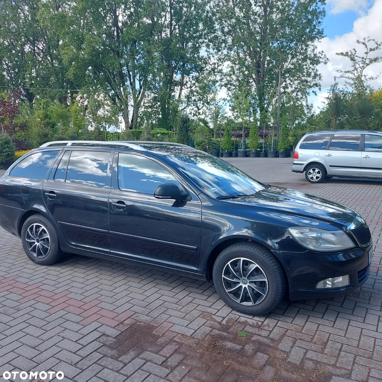 Skoda Octavia 1.6 Classic - 5