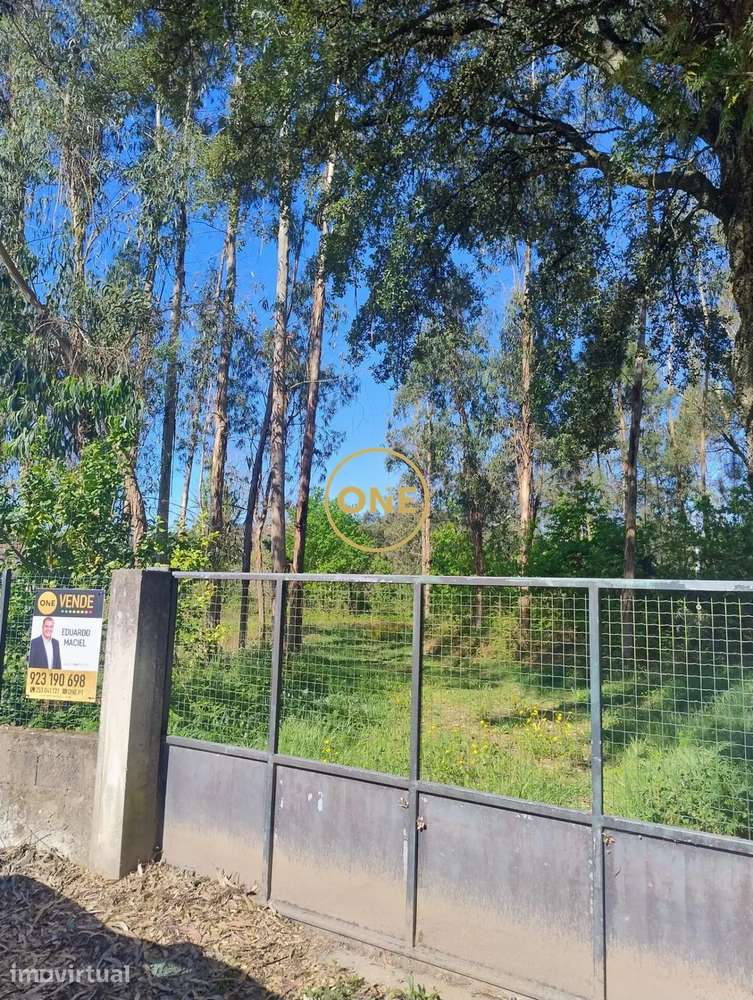 Terreno amplo em Turiz - Vila Verde - Grande imagem: 5/6