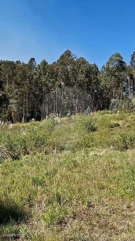 Terreno  para venda - Grande imagem: 3/4