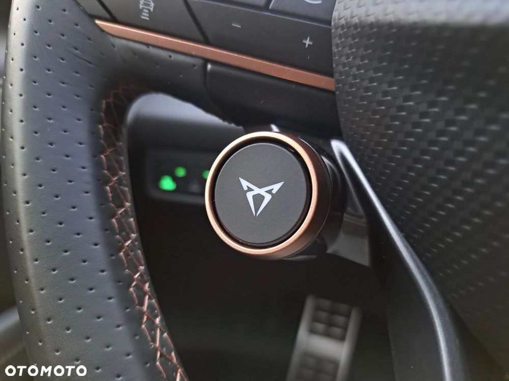 Cupra Terramar 1.5 eTSI mHEV DSG - 28
