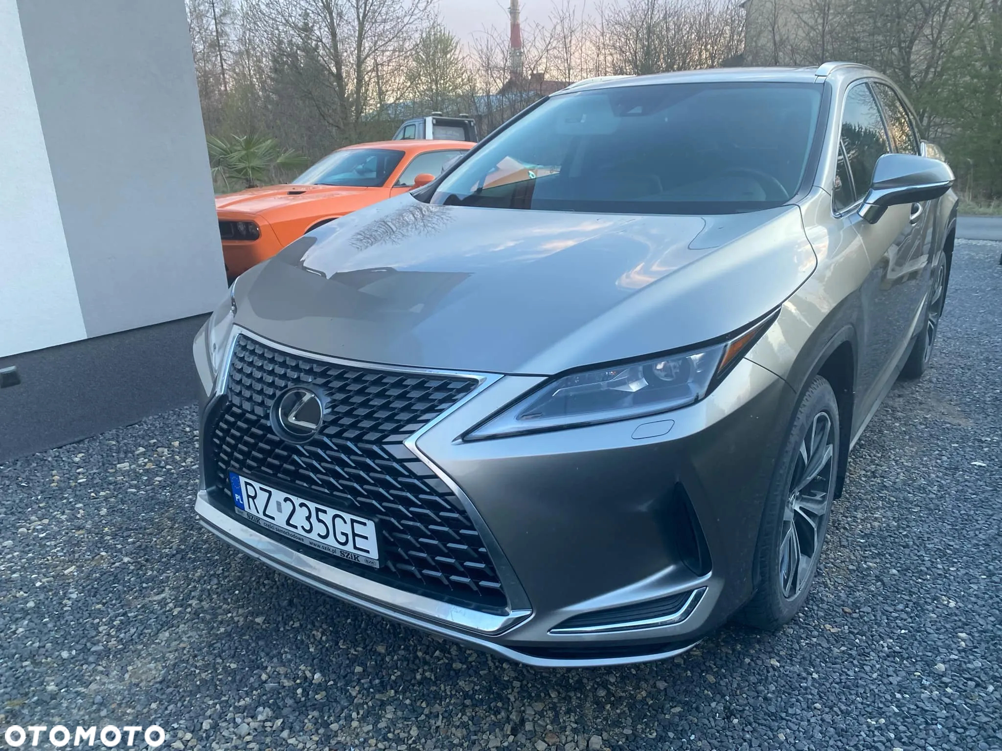 Lexus RX - 22