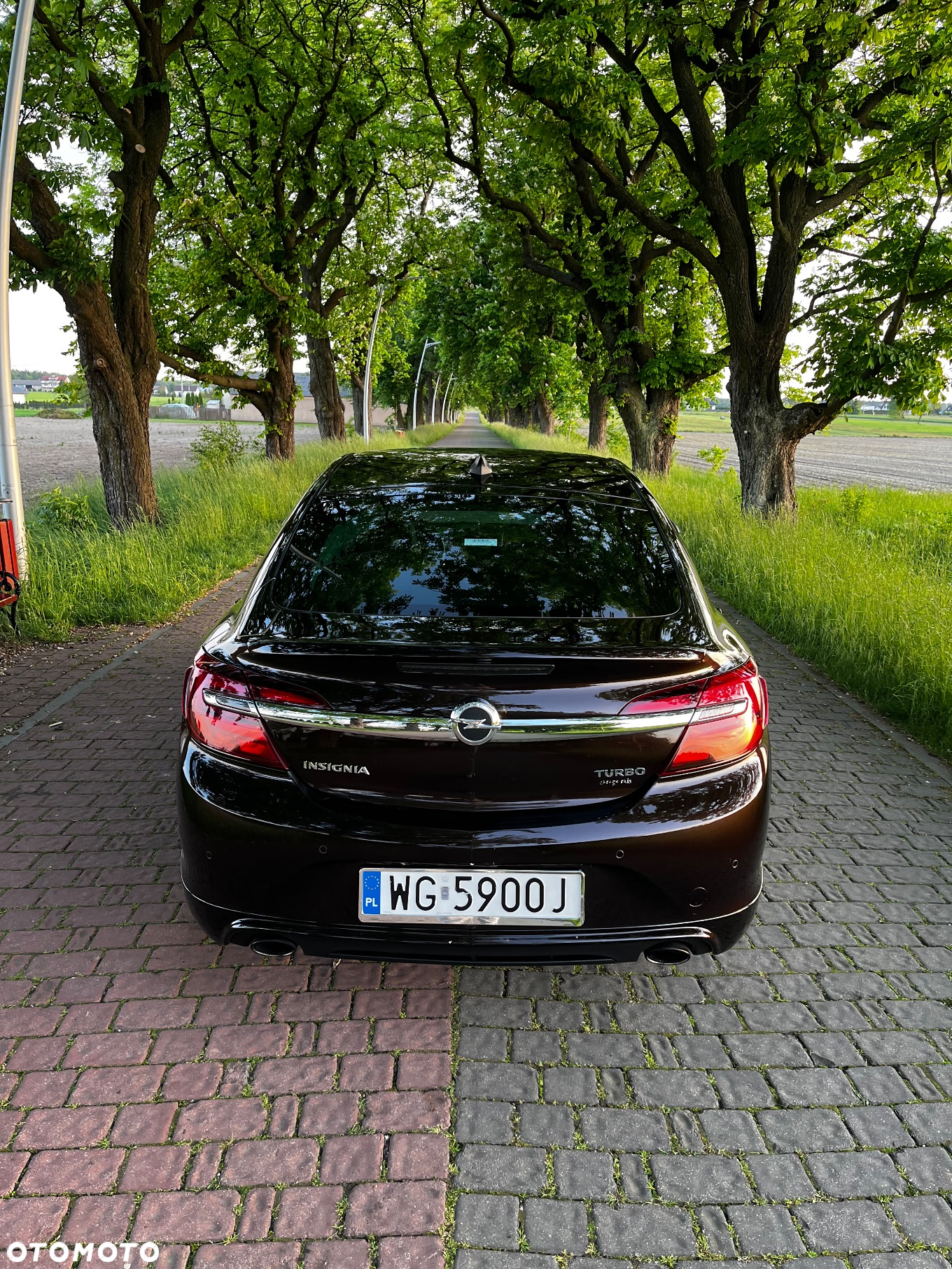 Opel Insignia 1.6 SIDI Turbo Sports Tourer - 14