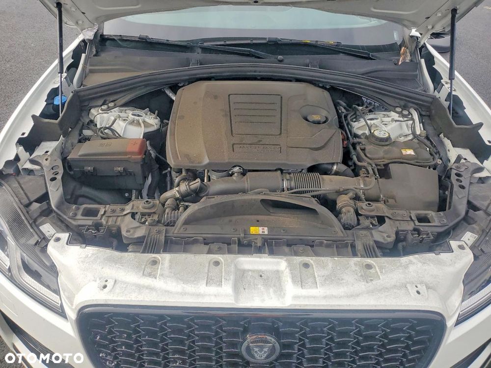 Jaguar F-Pace P250 AWD R-Dynamic S - 12
