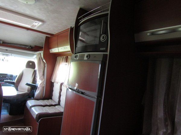 McLouis Yearling Série Limitada - 42