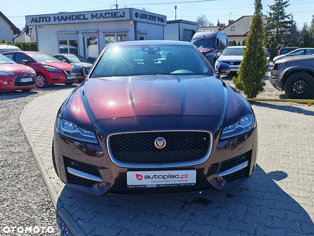 Jaguar XF E-Performance Pure - 12