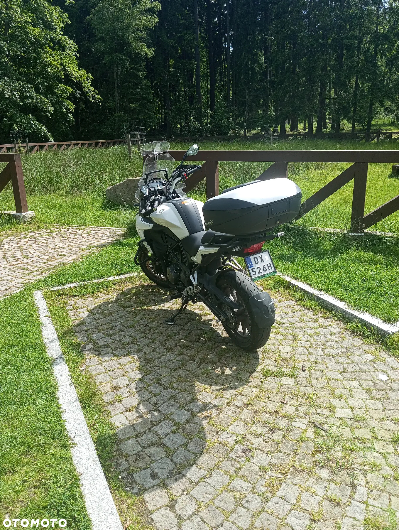 Benelli TRK 502 - 4