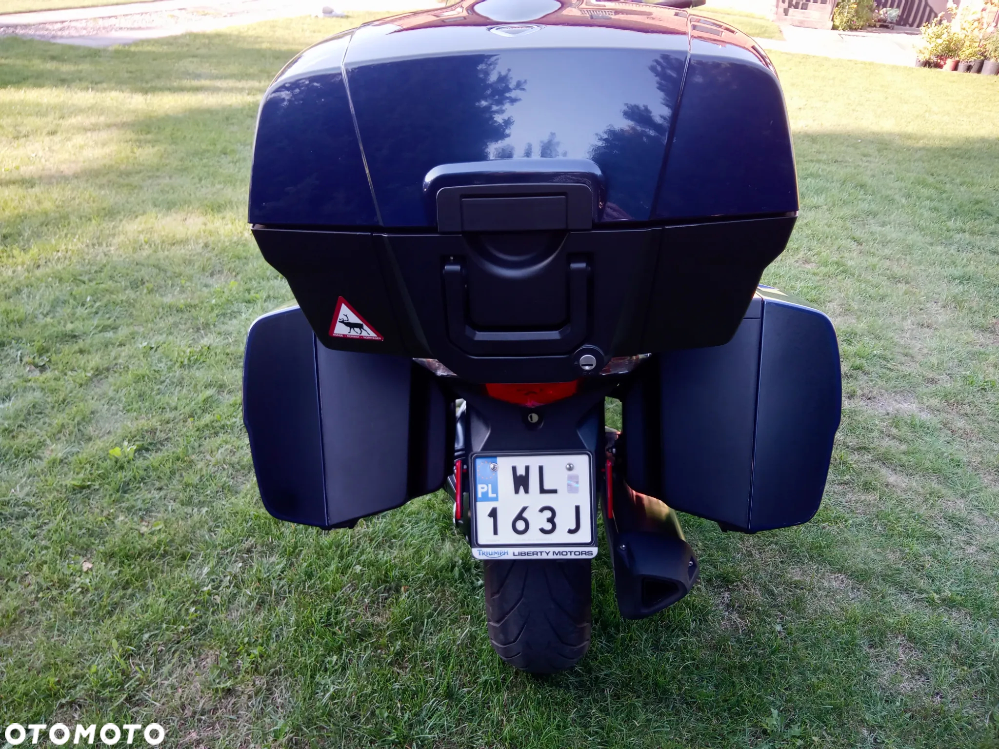 Triumph Trophy - 12