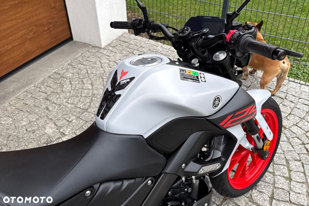 Yamaha MT - 7