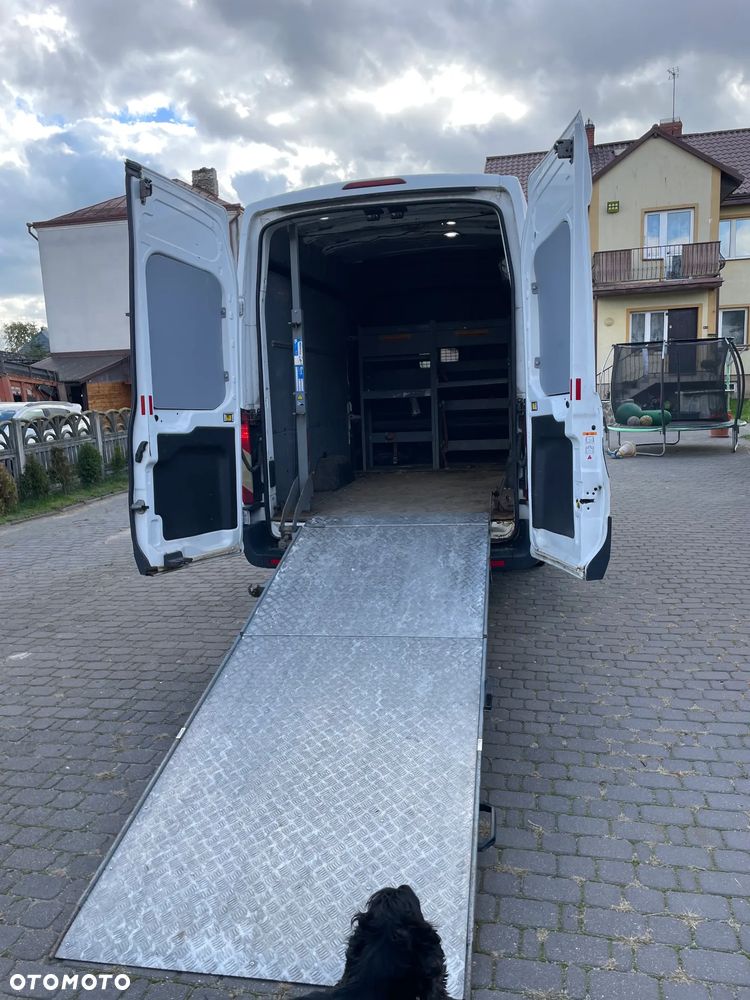 Ford Transit L4H3 RWD Trend (bryg.) - 3