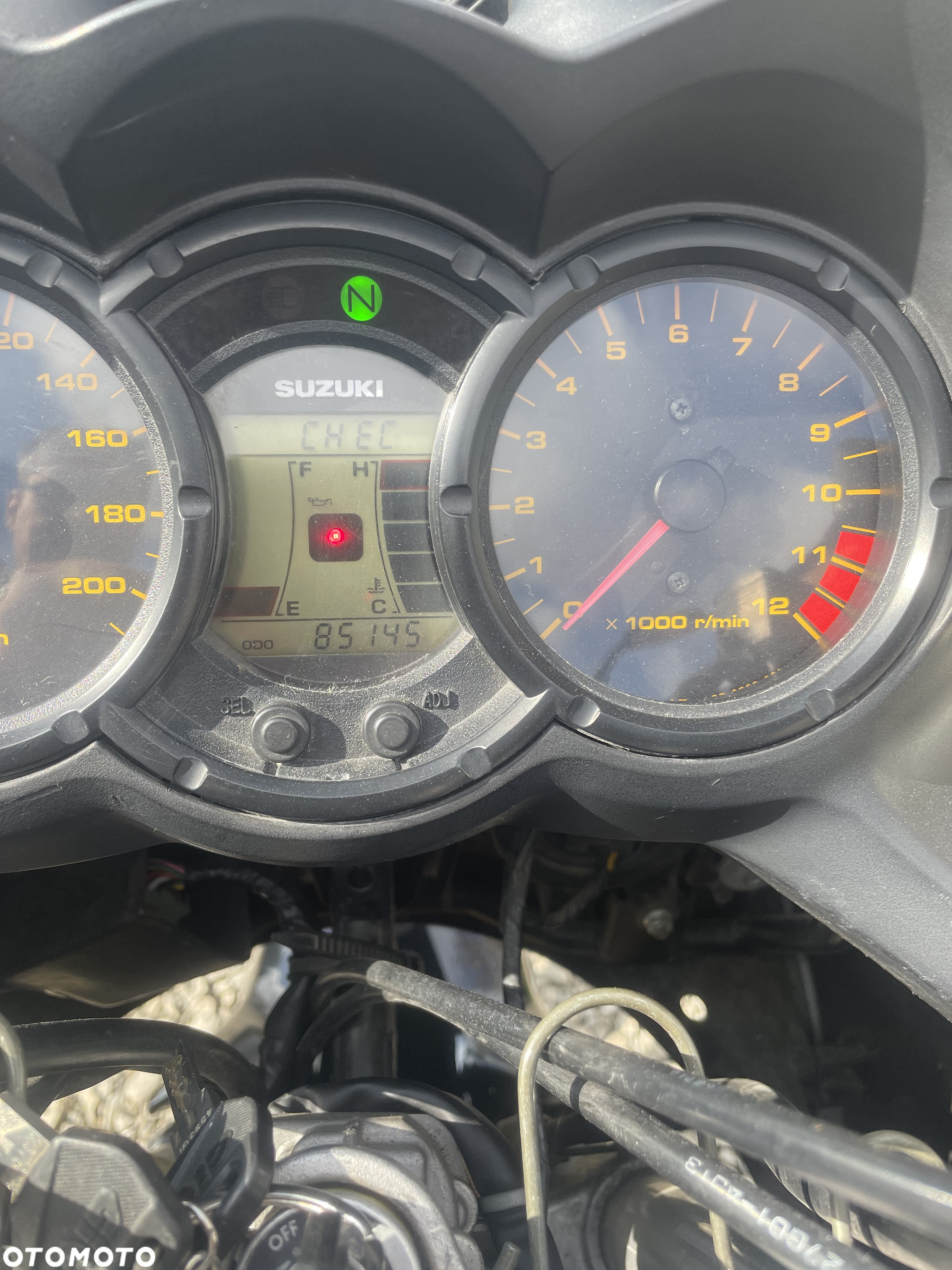 Suzuki DL