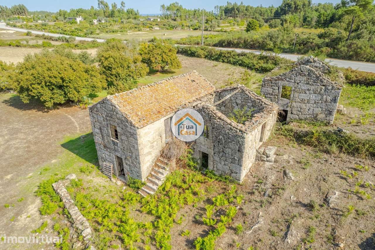 Quinta das Lameiras em Mangualde - Grande imagem: 4/15
