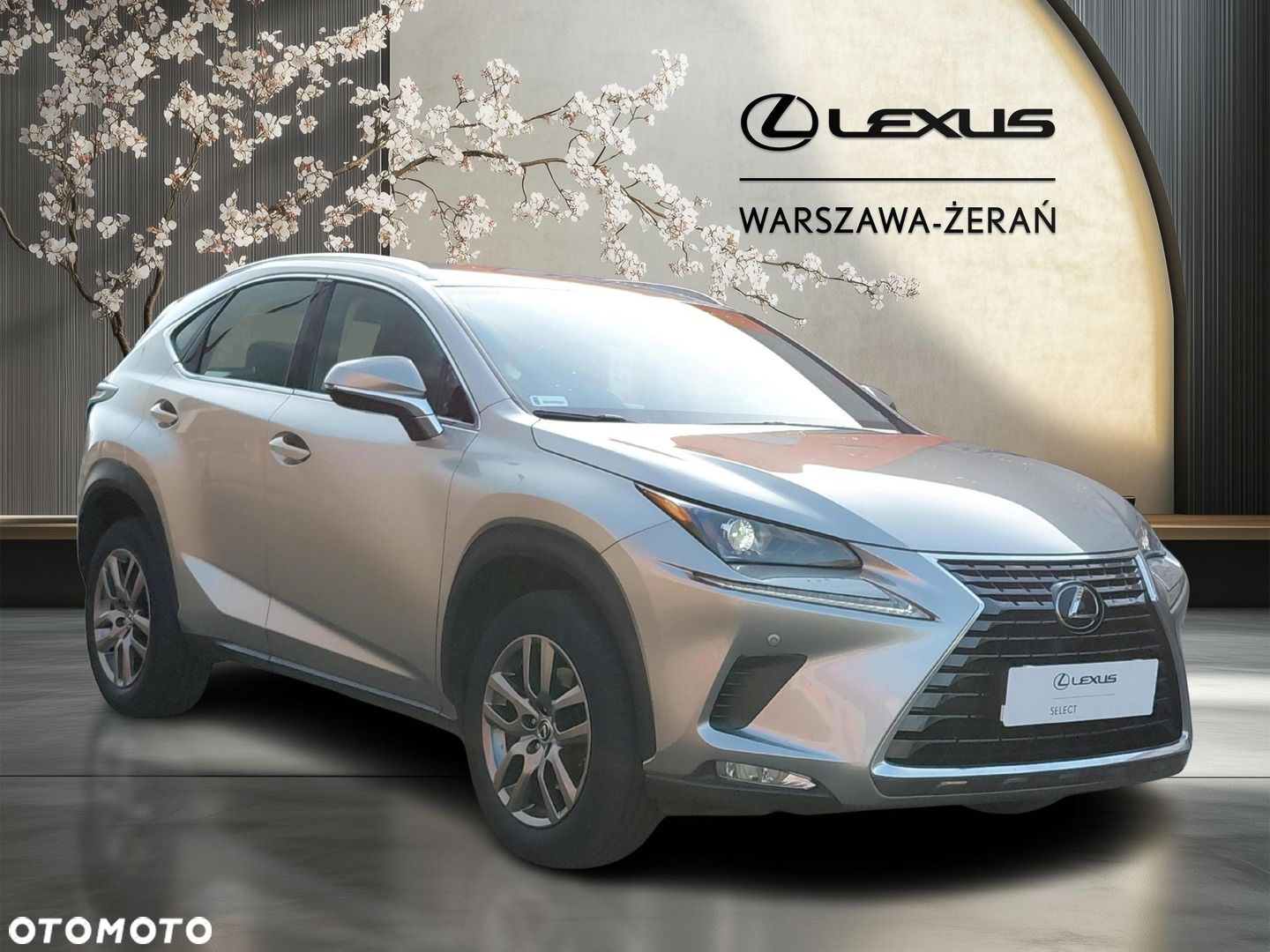 Lexus NX 300 Optimum AWD - 9