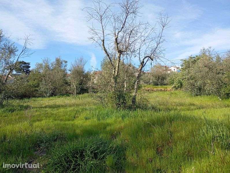 Lindo Terreno na Variante - Grande imagem: 4/6