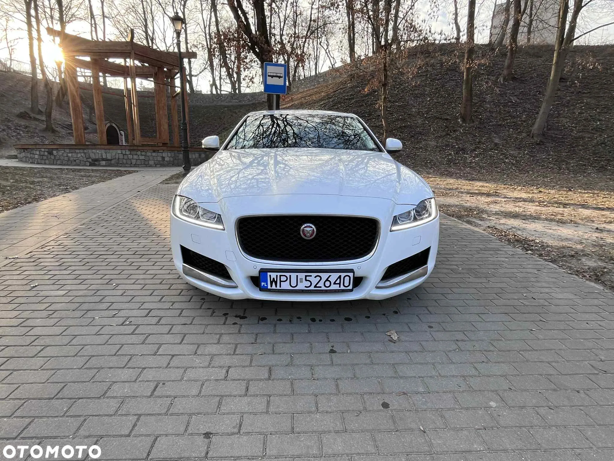 Jaguar XF - 11