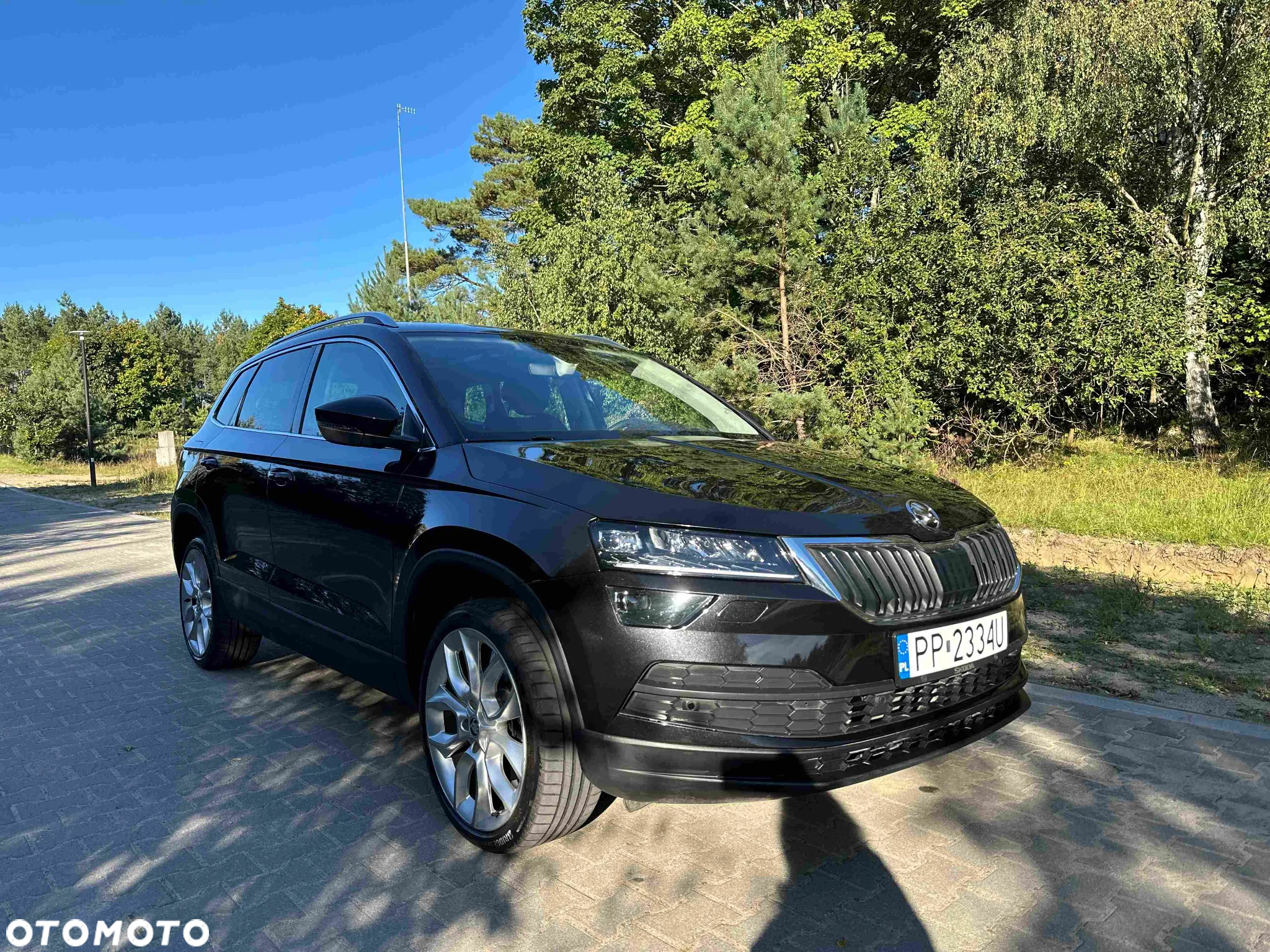 Skoda Karoq - 12