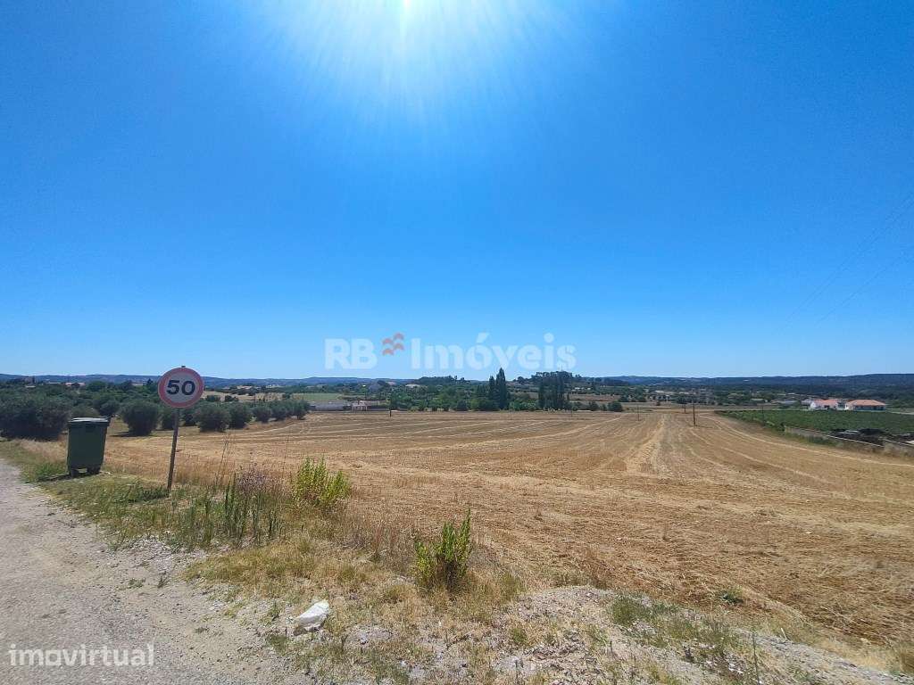 3 Terrenos Rústicos com área total de 18.880m2 - Cabeças, Tomar - Grande imagem: 2/17