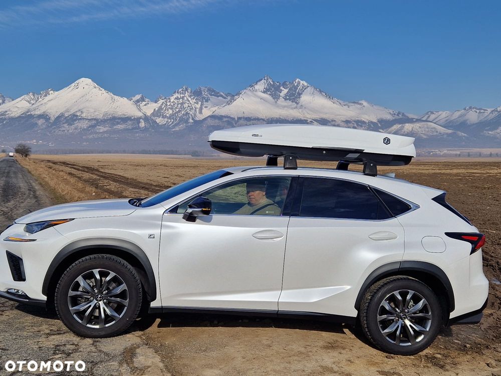 Lexus NX 300 GPF F Sport AWD - 16