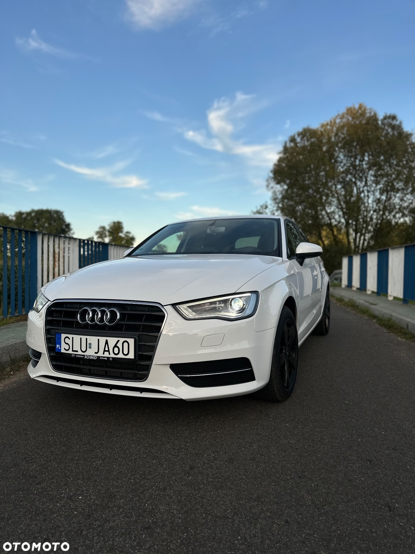 Audi A3 1.6 TDI - 21