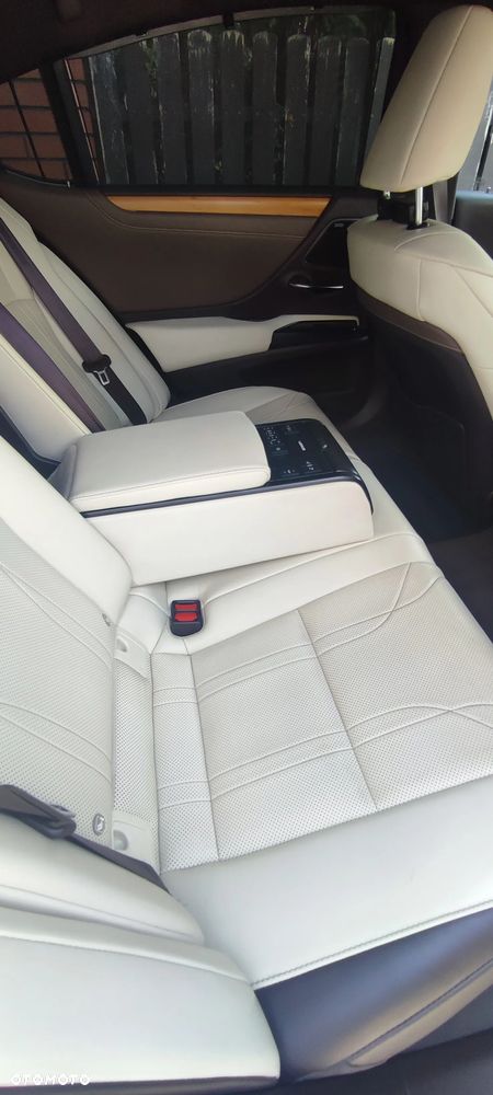 Lexus ES 300h Omotenashi - 21