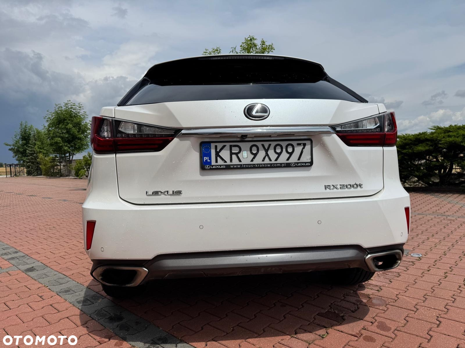 Lexus RX 200t / 300 Elegance - 7