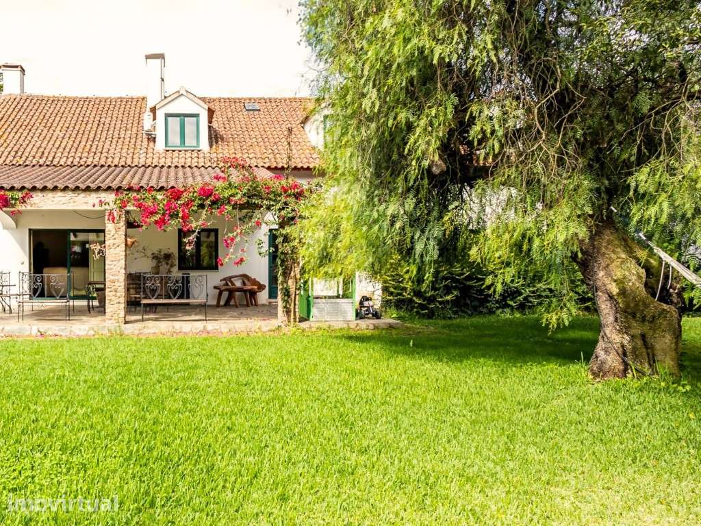 7 hectares, Quinta, opção turística, Alentejo - Estremoz - Grande imagem: 2/29