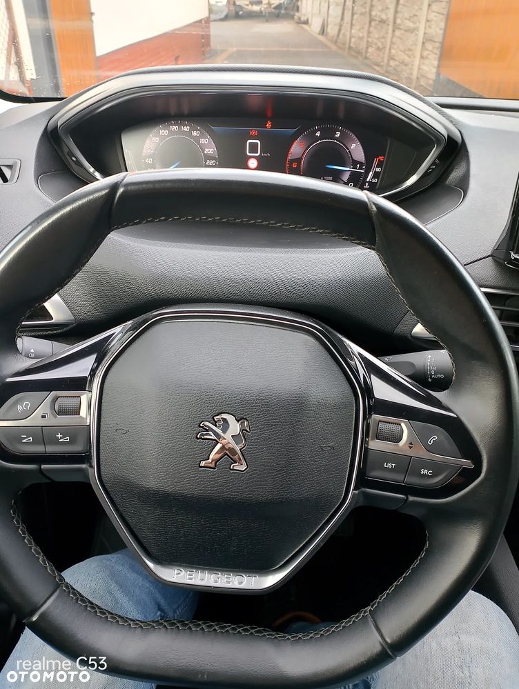 Peugeot 3008 - 18