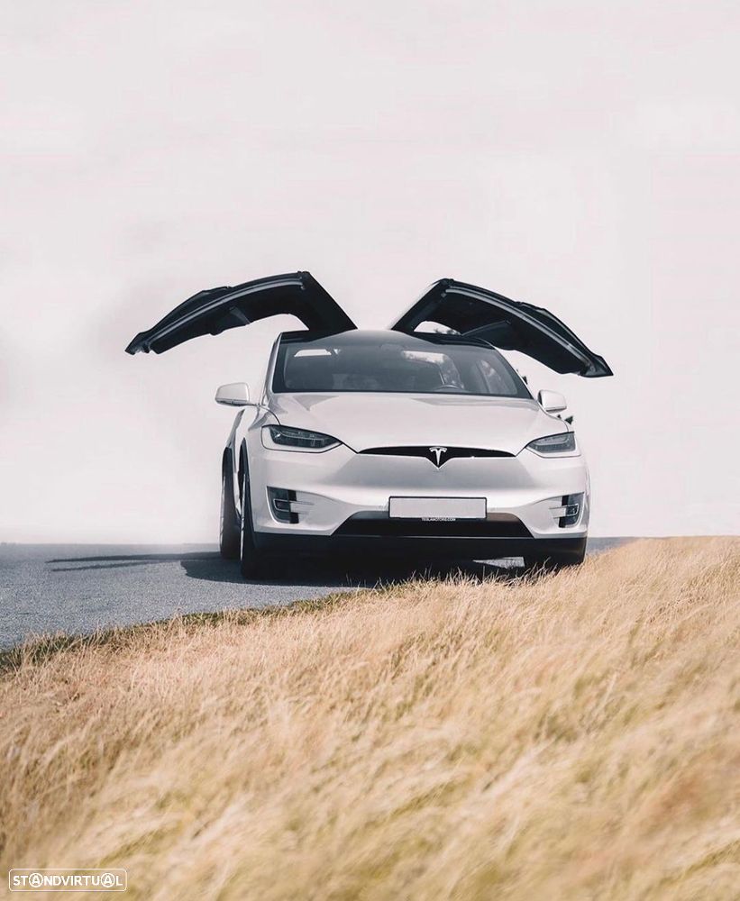 Tesla Model X Standard Range - 17
