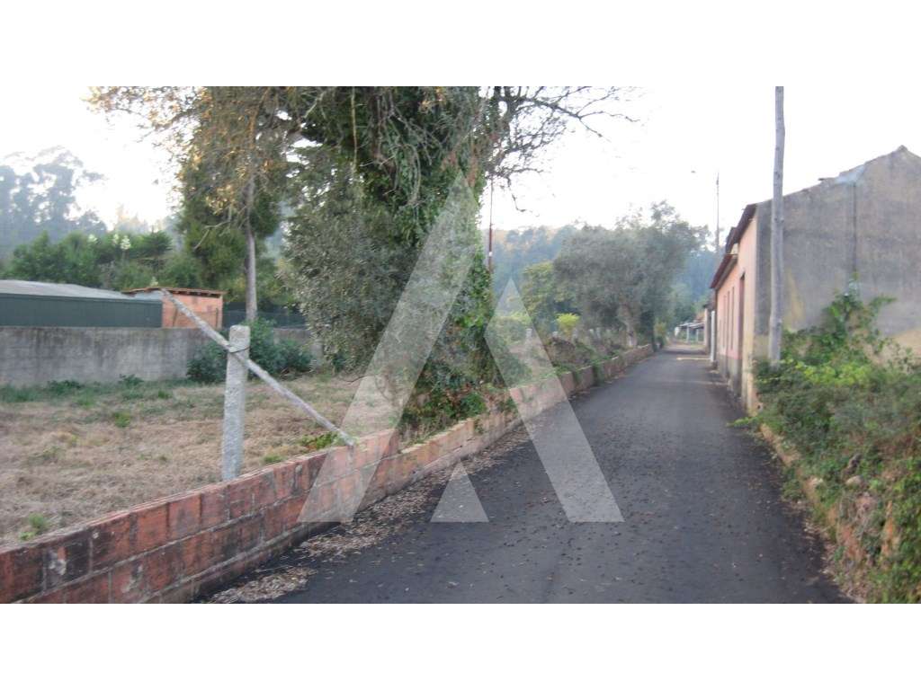 Moradia para recuperar ou demolir em Aquerubim - Grande imagem: 5/5