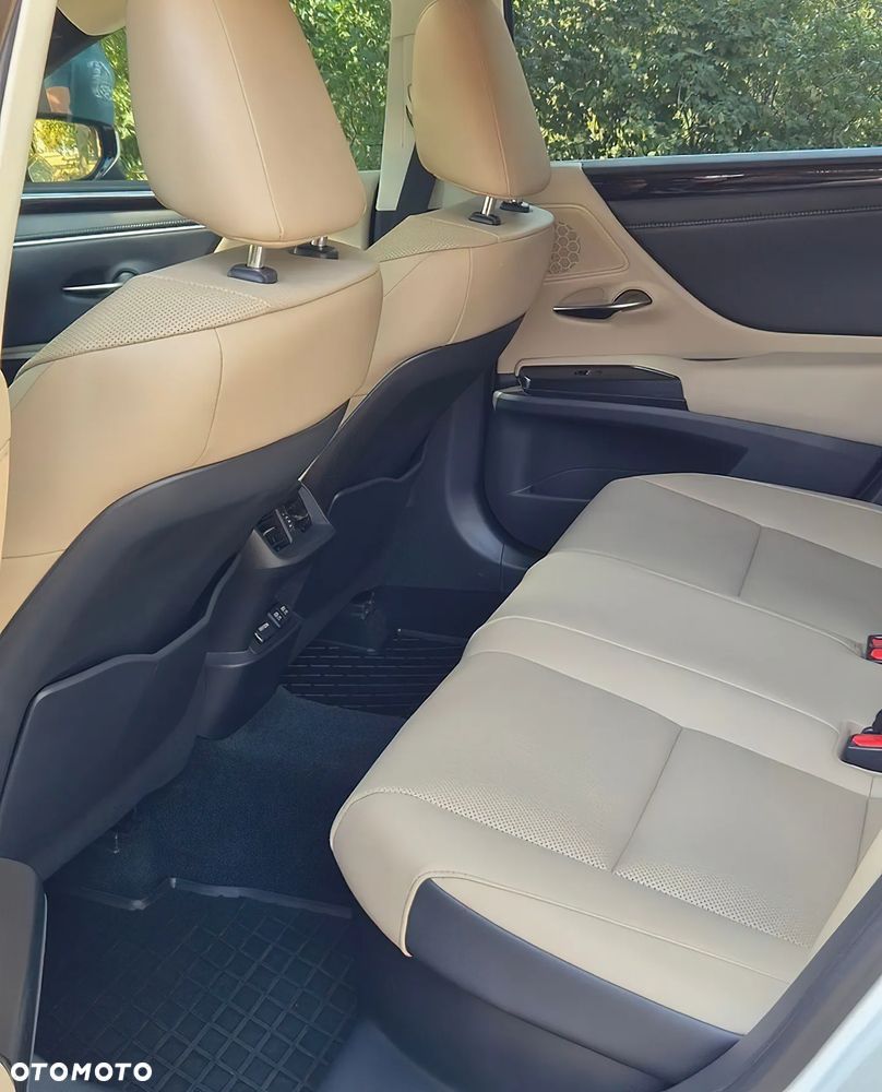 Lexus ES 300h - 12