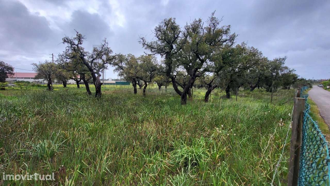 Terreno rústico - Grande imagem: 4/5