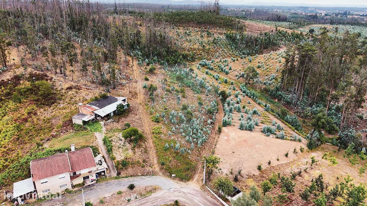 Terreno  para venda - Grande imagem: 3/14