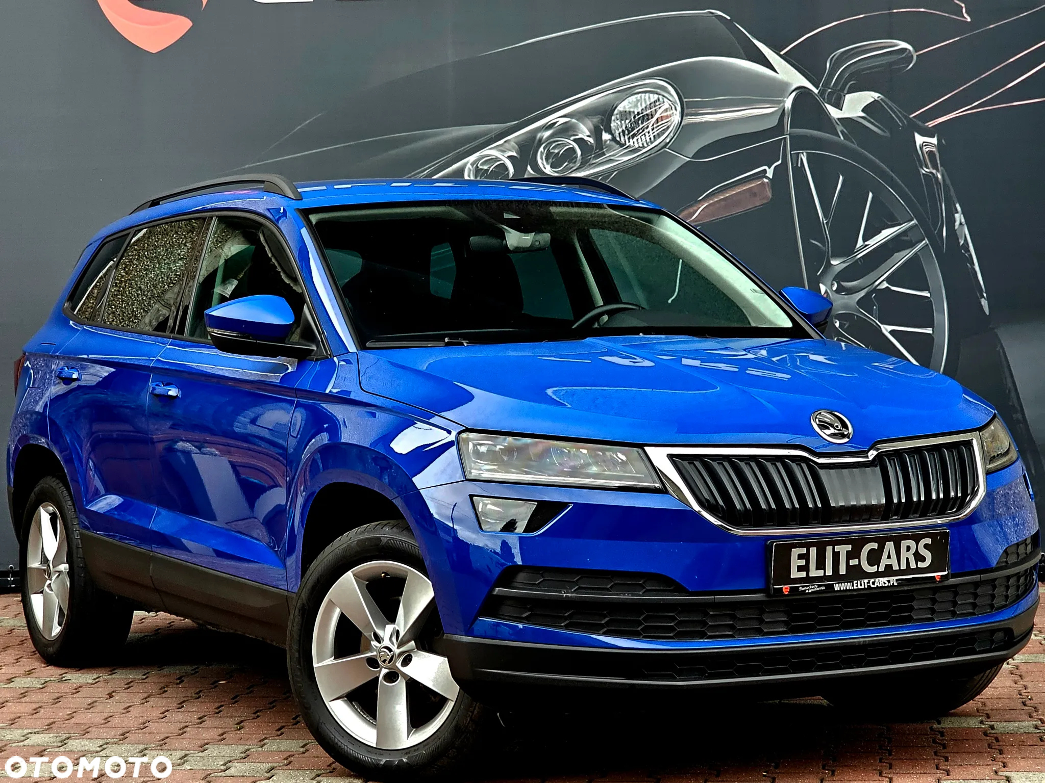 Skoda Karoq 1.6 TDI 4x2 Ambition DSG - 8