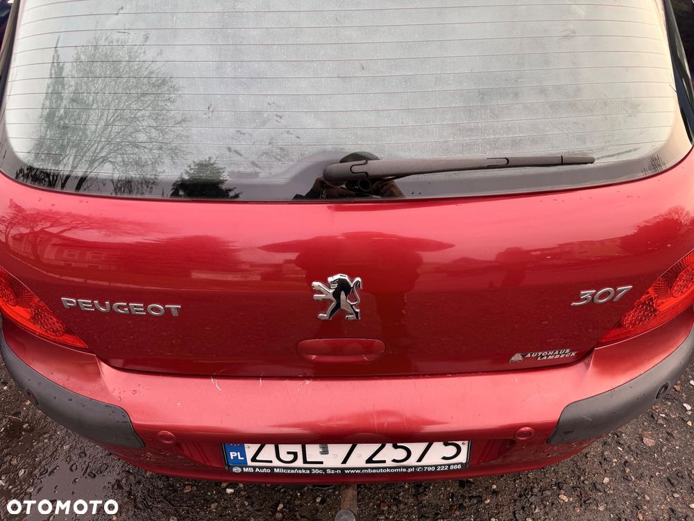 Peugeot 307 - 6