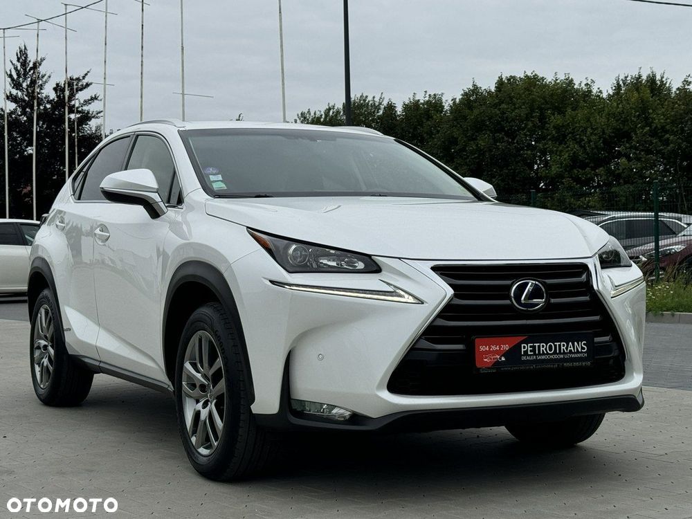 Lexus NX - 13