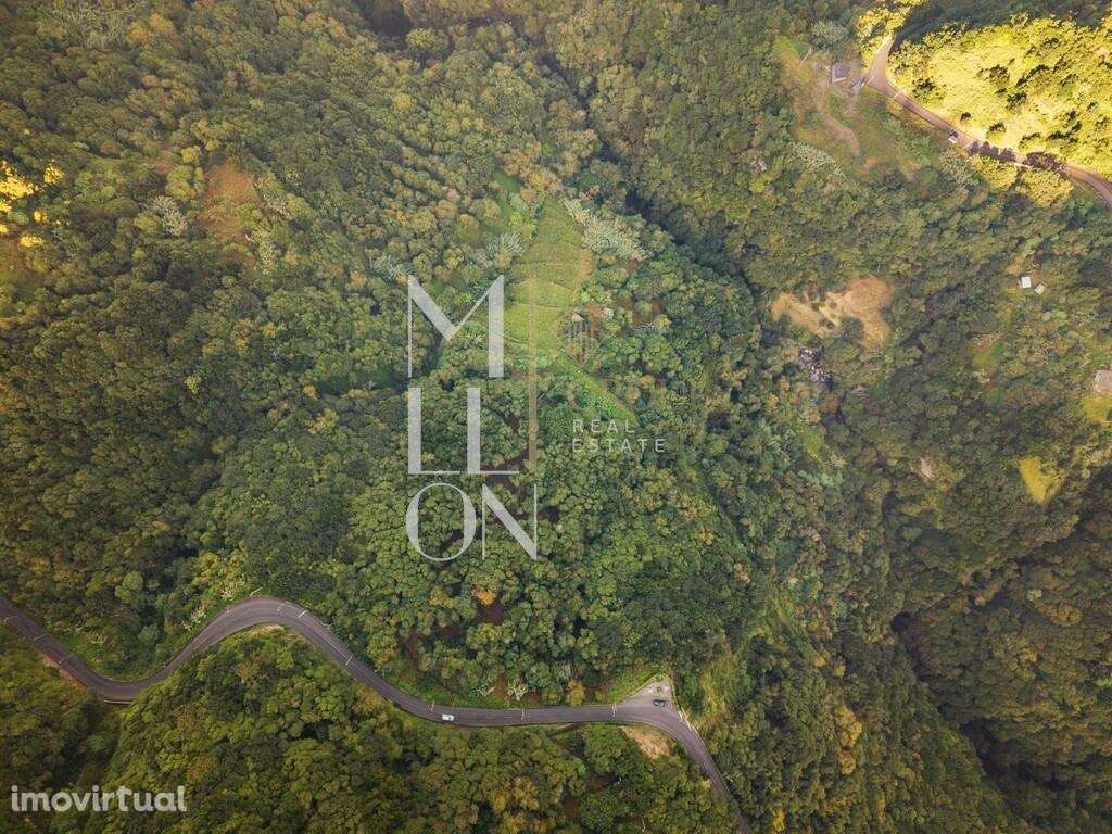 Oportunidade Única na Zona Norte da Ilha – Boaventura - Grande imagem: 5/20