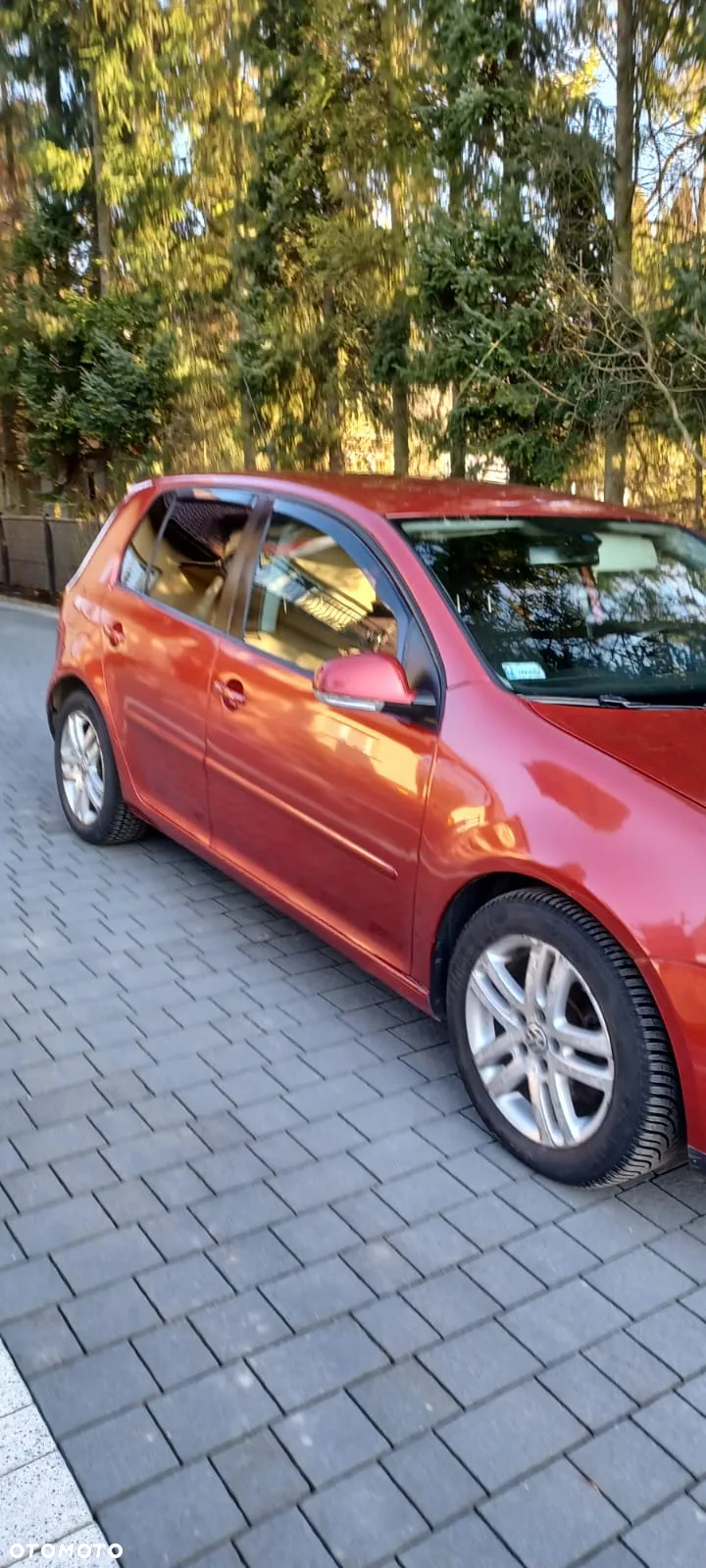 Volkswagen Golf V 2.0 TDI Comfortline - 2