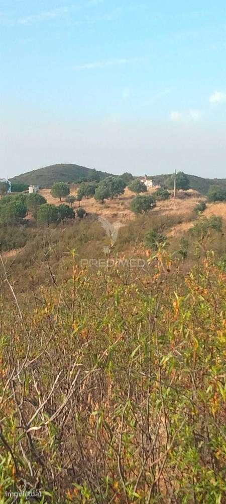 TERRENO MIXTO COM RUINA, EIRA  E UMA FONTE EM SÃO MARCOS DA SERRA - Grande imagem: 2/9