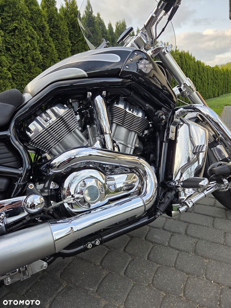 Harley-Davidson V-Rod Muscle - 18