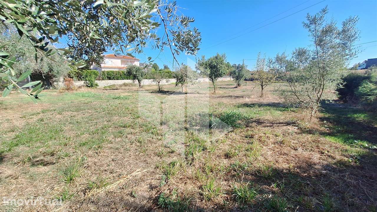 Terreno Para Construção  Venda em Molelos,Tondela - Grande imagem: 3/7