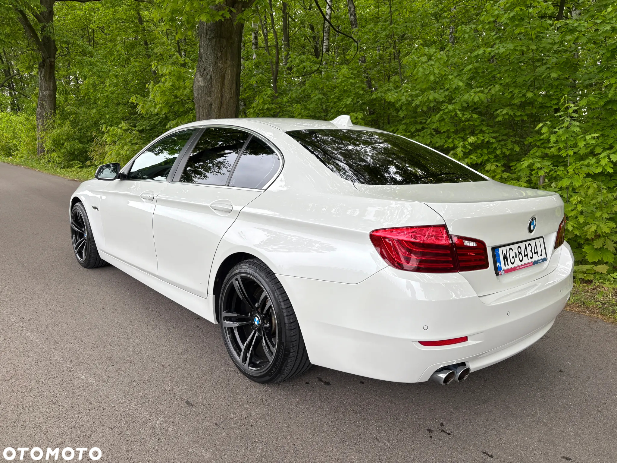 BMW Seria 5 520d - 15