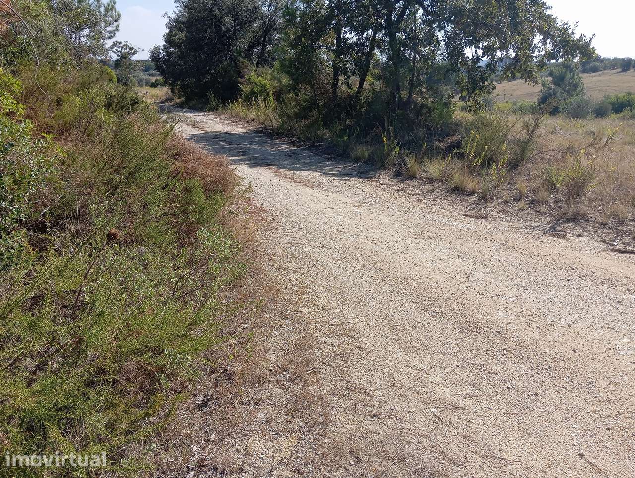 Terreno  Venda em Olaia e Paço,Torres Novas - Grande imagem: 5/8