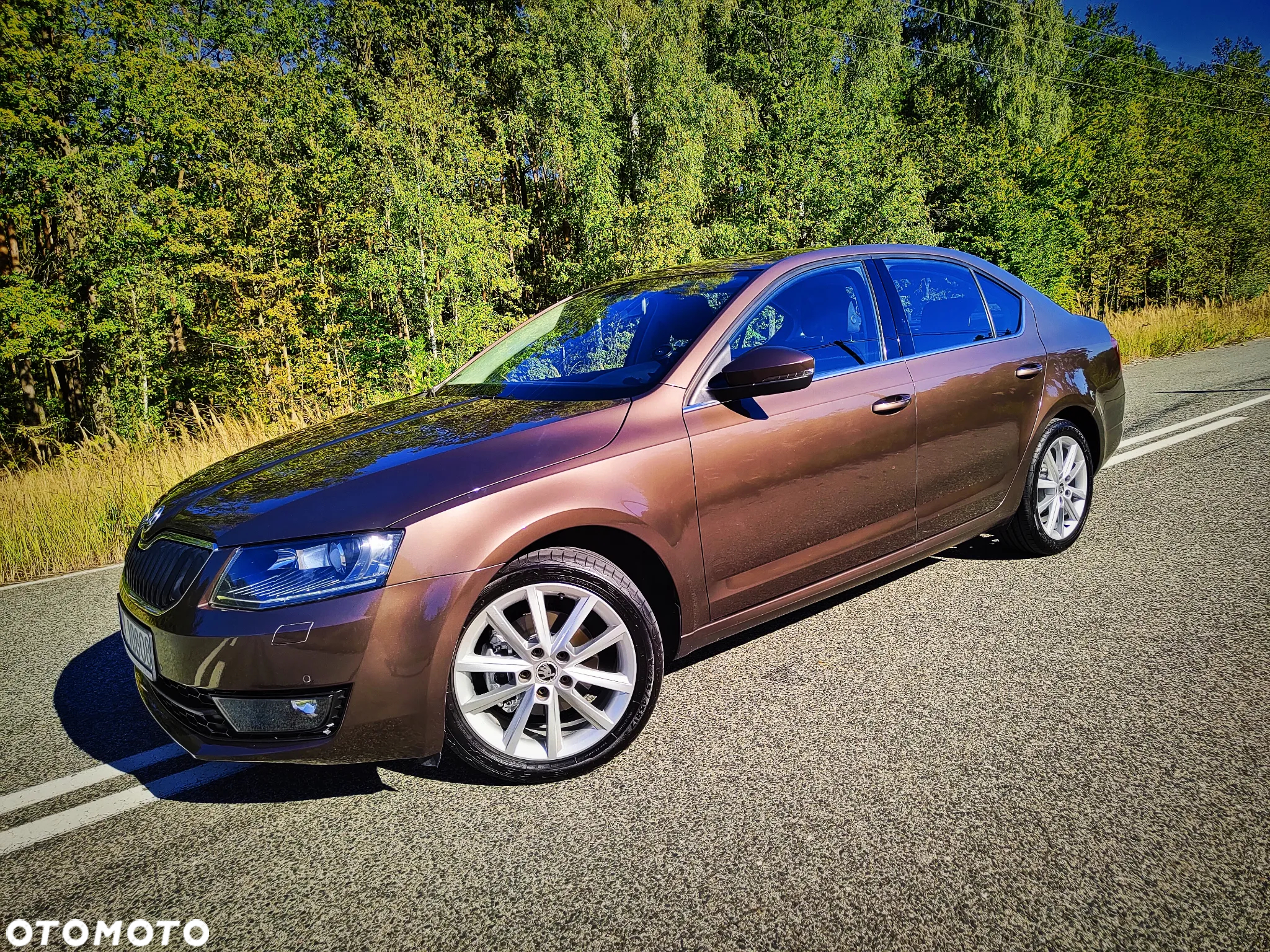 Skoda Octavia 1.4 TSI Elegance - 8