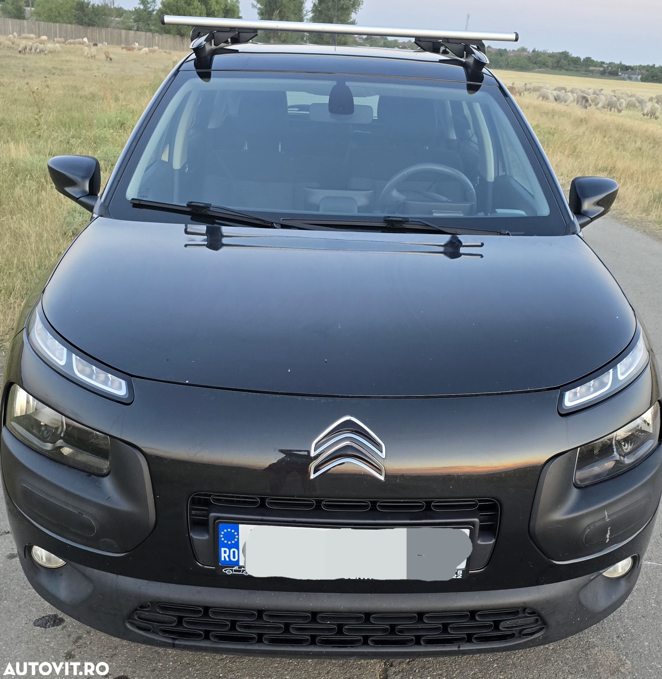 Citroën C4 Cactus BlueHDi BVM ETG6 Shine - 5