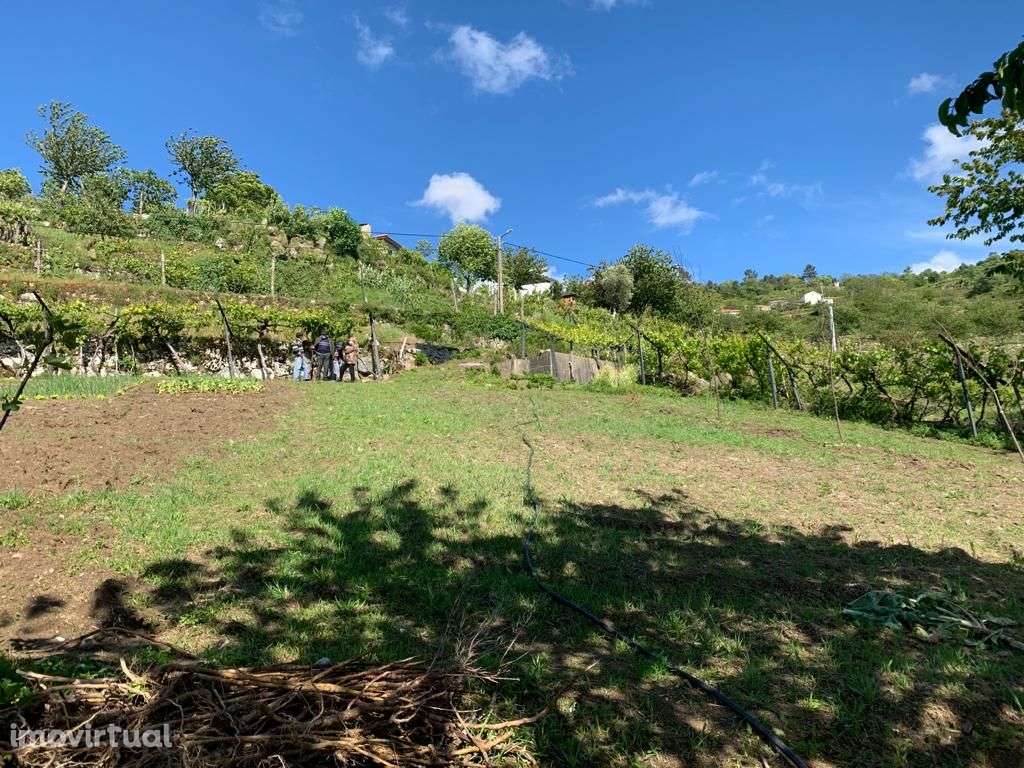 Terreno DOURO c/ projeto e licença! - Grande imagem: 4/14