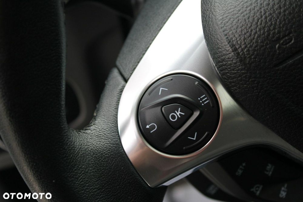 Ford Tourneo Connect - 22