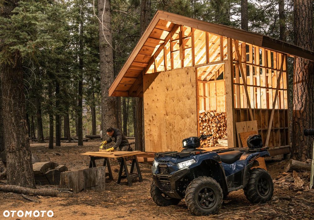 Kawasaki Brute Force - 13